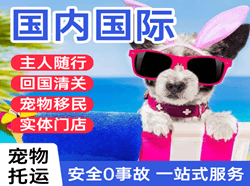 哈尔滨平房航空快递国际宠物托运 【国